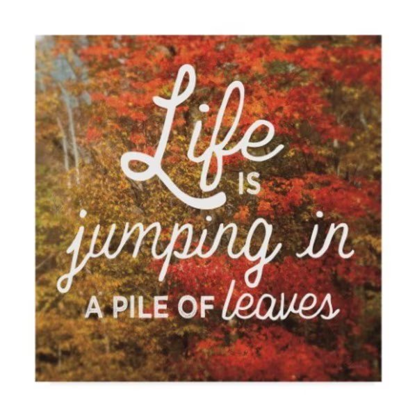Sue Schlabach 'Life Is For Jumping' Canvas Art, 35x35, Trademark Fine Art, Mfr#: WAP08170-C3535GG